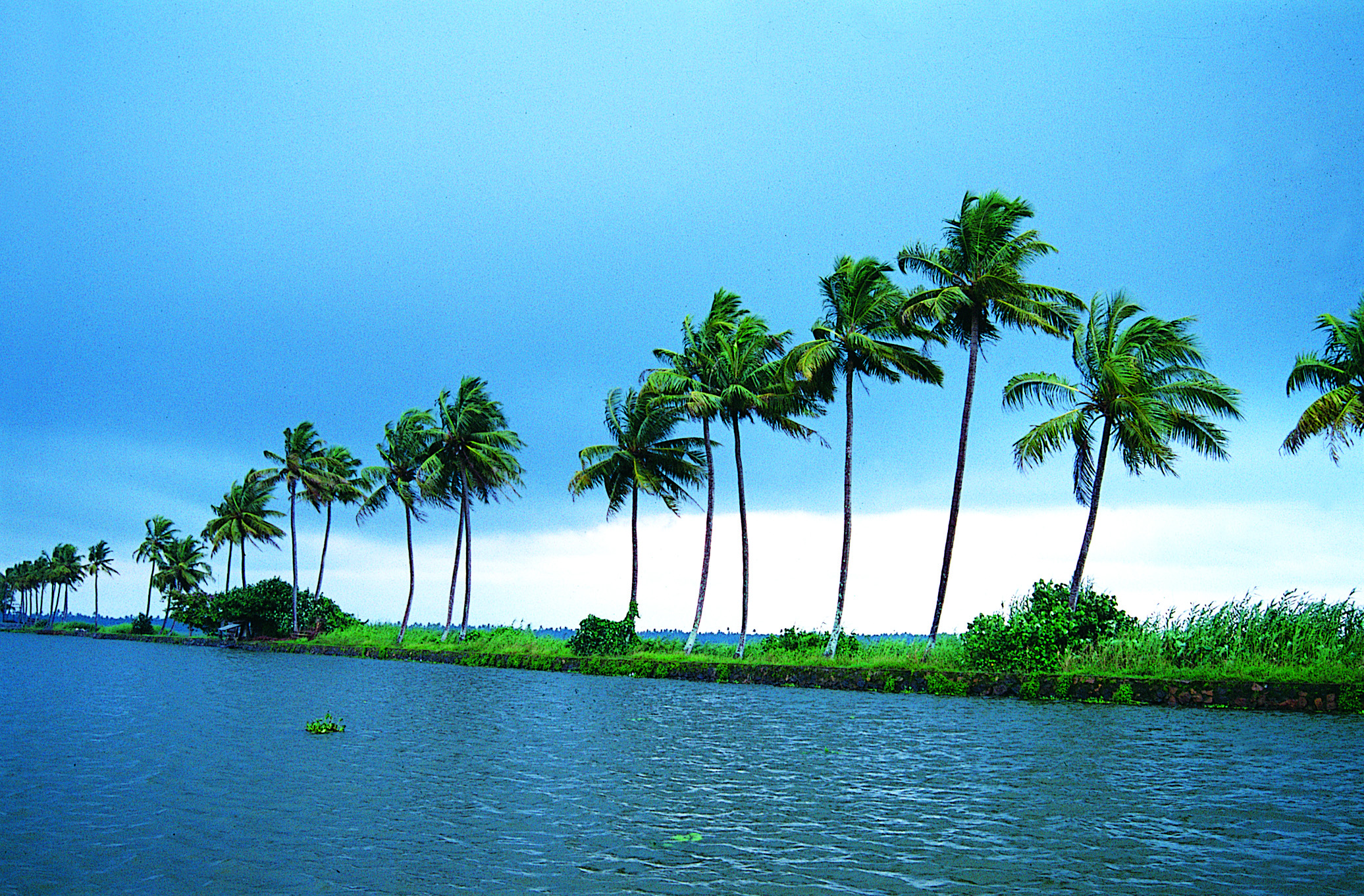 Kerala-4-1.jpg