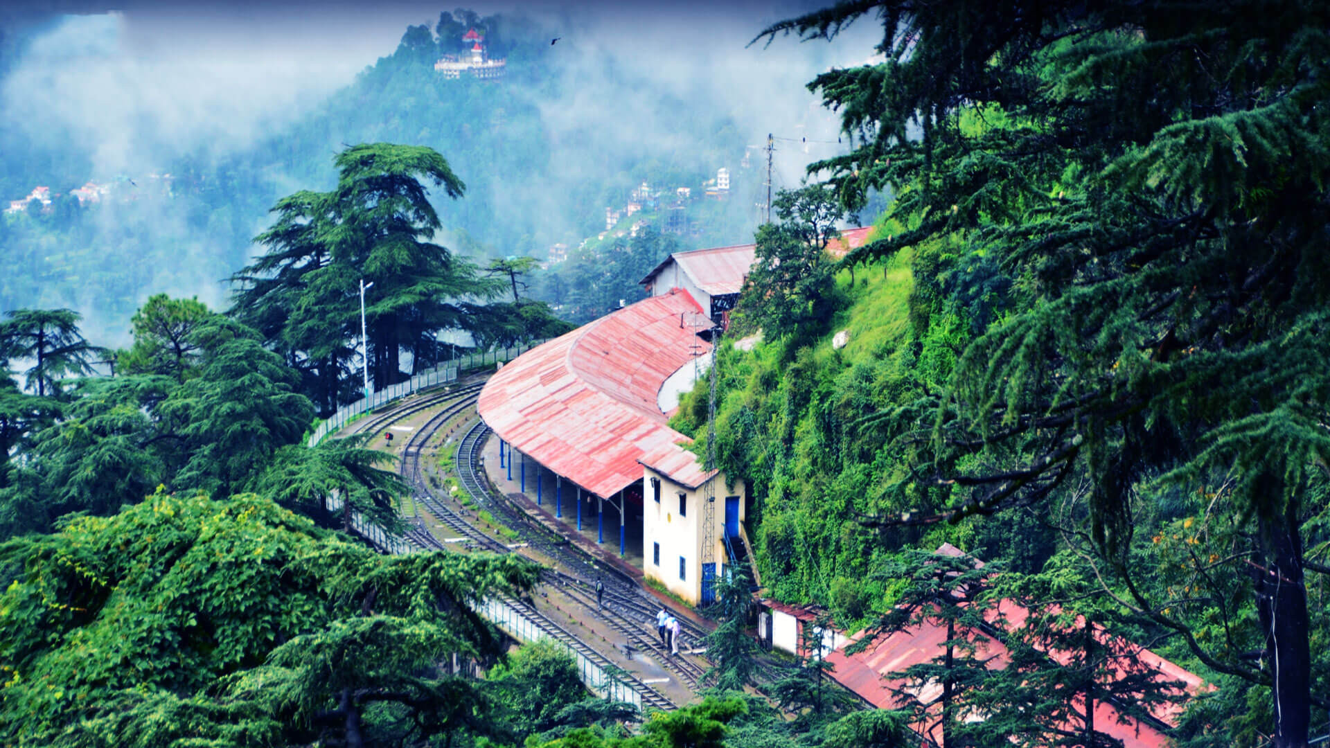 shimla-1.jpg